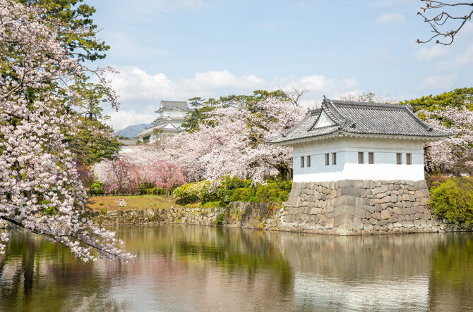Take a Breather in Odawara